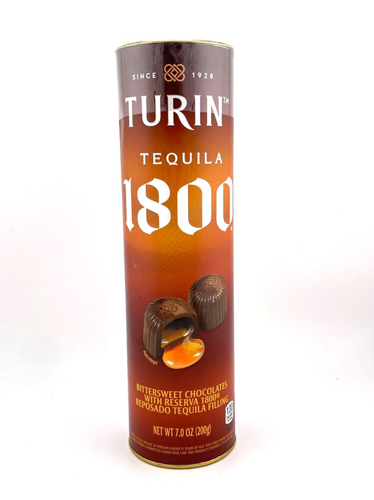 Turin 1800